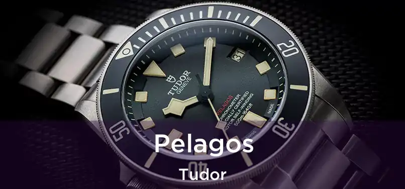  Pelagos Tudor