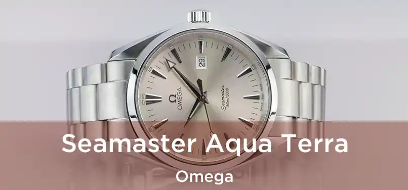  Seamaster Aqua Terra Omega